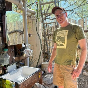 Rainwater harvesting grows in the Southwest and beyond to nourish thirsty gardens in a hotter world