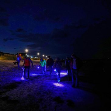Finding happiness in amber: On Germany’s Baltic coast, people go hunting for the precious pieces