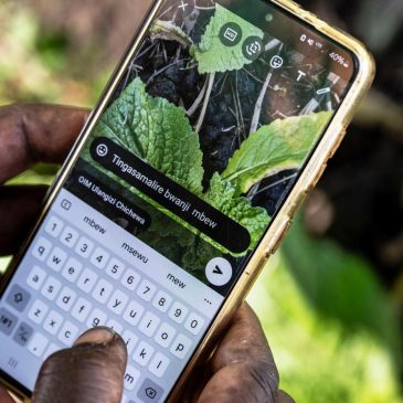 How AI is helping some small-scale farmers weather a changing climate