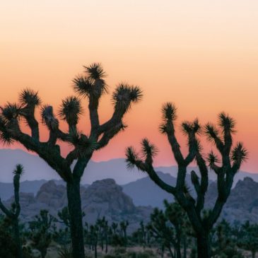Visit a national park for free on Saturday, Sept. 27