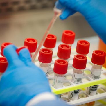 EPA scientist at Duluth lab says he was fired after signing ‘Declaration of Dissent’