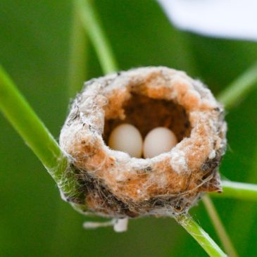 Do you live here? 41 states where you might outlive your retirement savings