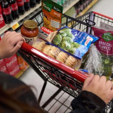 Judge blocks USDA from collecting data about SNAP applicants in 21 states