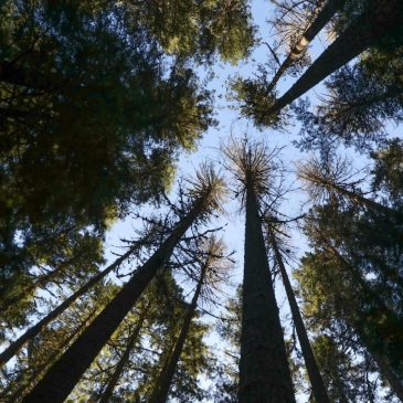 Other voices: America’s wilderness is priceless