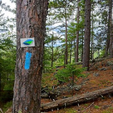 Wildfire in North Shore state park nearing 100% containment