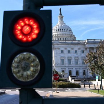 White House keeps 45 DOGE employees working despite shutdown