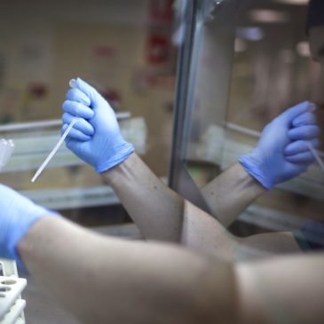 Abby McCloskey: New IVF policies bring hope — and moral questions