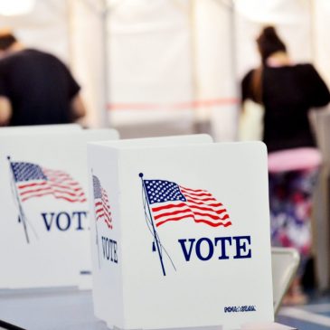 Election guide: Dakota, Ramsey, Washington races, ballot questions