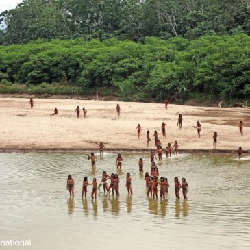 What to know about uncontacted Indigenous peoples and efforts to protect them