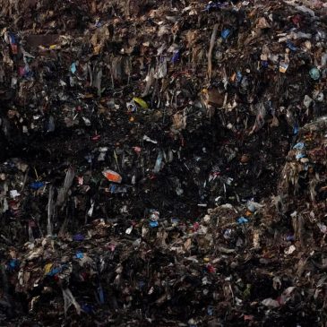 The food you toss costs you plenty and emits tons of pollution. We’ve got tips on how to cut down