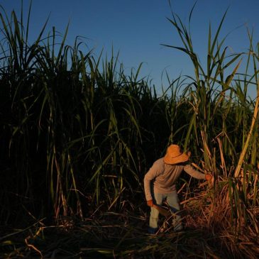 In a California farming region, researchers are mapping rural heat to protect farmworkers