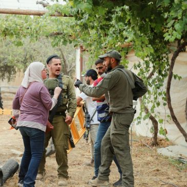 Israeli settlers beat Palestinian farmers on video as attacks mount during West Bank olive harvest