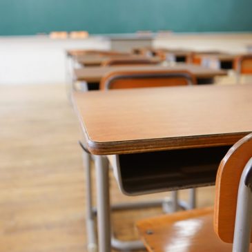 David Brooks: Why are the Democrats increasing inequality?