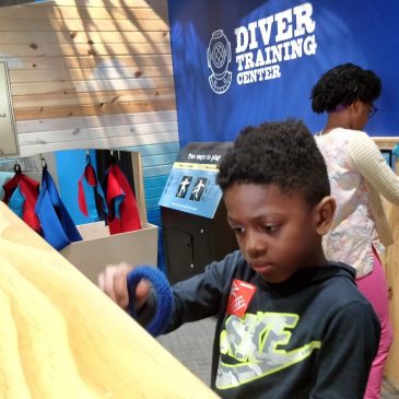 MN Children’s Museum: Free admission in November for those on SNAP