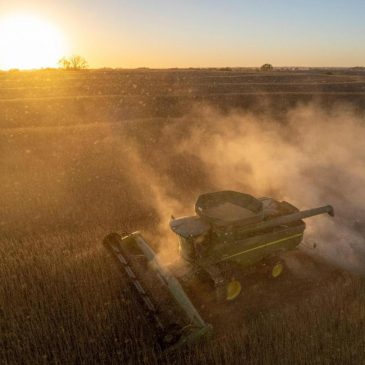 American farmers welcome China’s promise to buy their soybean but this deal doesn’t solve everything