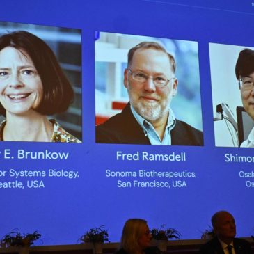 The Nobel Prize in medicine goes to 3 scientists for work on the human immune system
