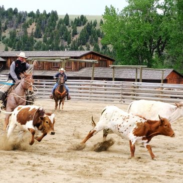 Travel: Saddle up! These guest ranches deliver the West without roughing it