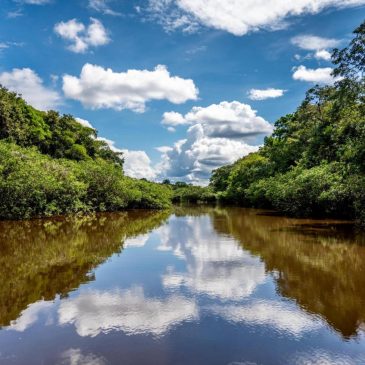 Gold demand puts Peru’s Amazon at greater risk from mercury poisoning, bishop warns