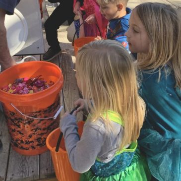 $5K worth of Halloween candy stolen from Minnesota man’s porch