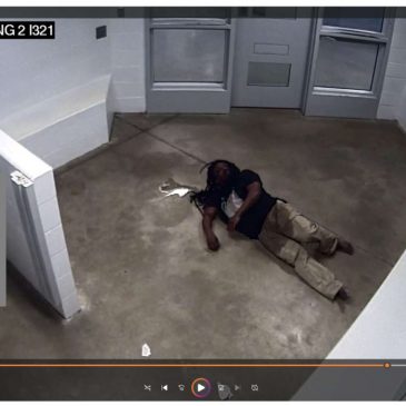 Lawsuit alleges Eagan police mistook man’s fatal stroke for possible drug use
