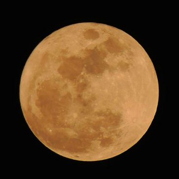 Skywatch: A Harvet “Supermoon” this week and a new comet