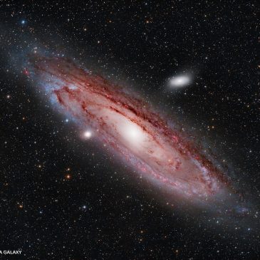 Skywatch: The great flying horse of the sky