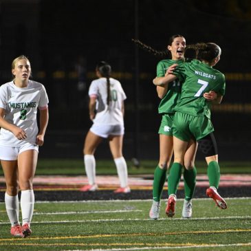 Girls soccer: Stella Triplett sends Eagan back to Class 3A semifinals