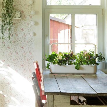 How to use tech in the garden and still keep your serenity