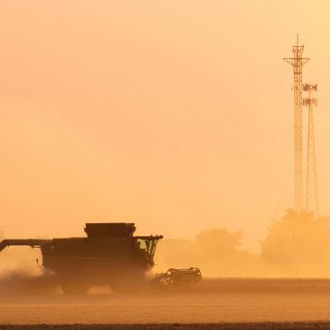 Other voices: Soybean farmers feel the effects of Trump’s trade war
