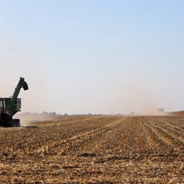 North Dakota, Minnesota farmland prices keep rising despite challenges in ag industry