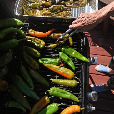 As hot as you like: Hatch chile peppers add sizzle of the Southwest to everything
