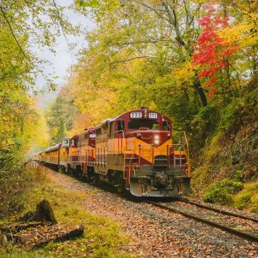 Relaxed, reinvigorated after Smoky Mountains trip