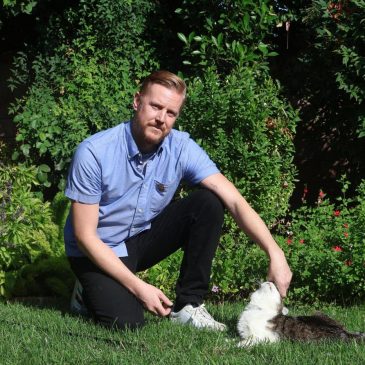 ‘They don’t return home’: Cities across US fail to curb traffic deaths