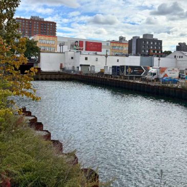 Community-Led Project Looks to Grow Gowanus Canal’s Mussel Population
