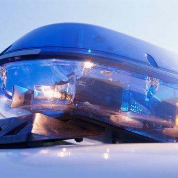 Falling tree kills northeastern Minnesota man clearing snow after storm