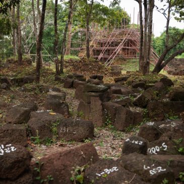 The U.S. was a leader in cultural heritage investigations. Now those agents are working immigration enforcement.