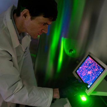 Researchers try bold new approach in a race to better treat autoimmune diseases