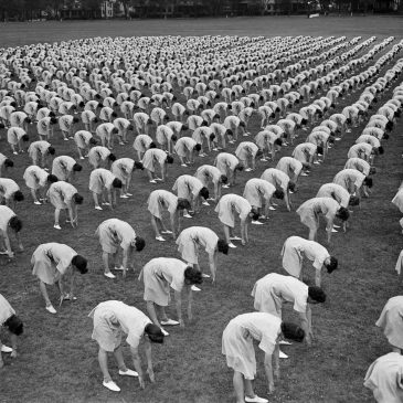 F.D. Flam: How women could be the key to unlocking longer life