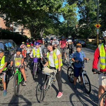 From a few to more than 350, children and parents ride together to school as a ‘bike bus’