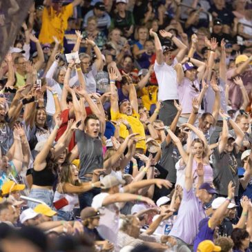 Move. Cheer. Dance. Do the wave. How to tap into the collective joy of ‘we mode’