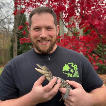 Small alligator rescued in Boston after slithering into the city’s heart on social media