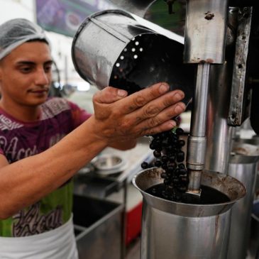 Traditional acai berry dishes surprise visitors to Brazil climate summit, no sugar added