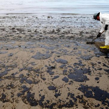 Trump administration announces plan for new oil drilling off the coasts of California and Florida