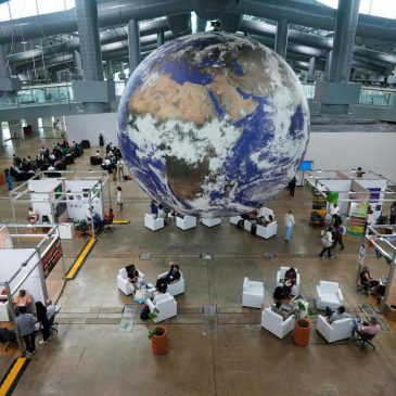 Climate change is in the news during COP30. We’ve got tips to tackle your climate anxiety