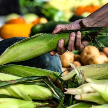 The most climate-friendly groceries might not be in the supermarket