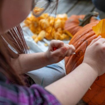 Don’t toss your Halloween pumpkin — bake, compost or feed it to farm animals instead