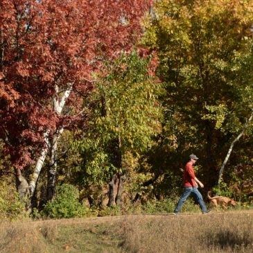 MN State Parks, Washington County Parks offer free entry Friday