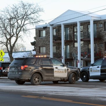 Man admits to fatally stabbing St. Paul woman, believing she was his mother