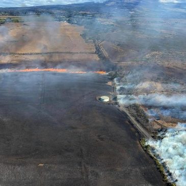 States sue Trump administration over restrictions put on FEMA emergency grants