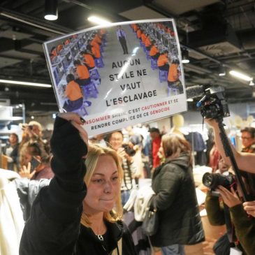 France moves to suspend Shein’s online market over listings for illegal firearms and sex dolls